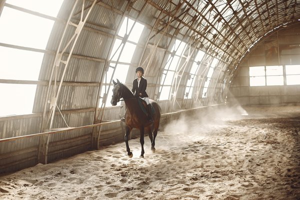 Quelles leçons tirer des éditions précédentes pour le Prix d'Amérique PMU 2024 ?