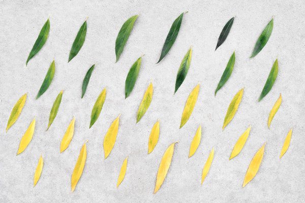 C'est quoi la différence entre la périménopause et la ménopause ?