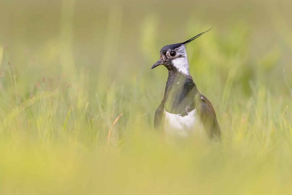 Comment concevoir un spectacle de lumière et son synchronisé pour les fêtes de fin d'année?